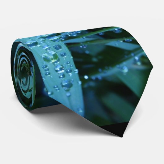 Wassertropfen Krawatte (Gerollt)