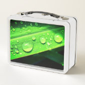 Wassertropfen Metall Brotdose (Rückseite)