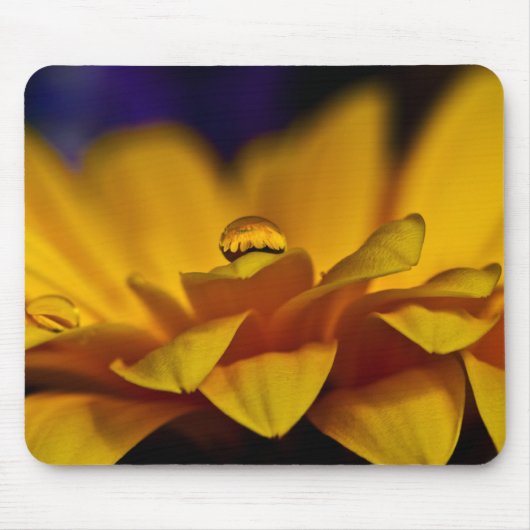 Wassertropfen mit Reflektion von Gerbera Daisy Mousepad (Vorne)