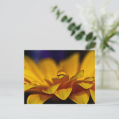 Wassertropfen mit Reflektion von Gerbera Daisy Postkarte (Stehend Vorderseite)