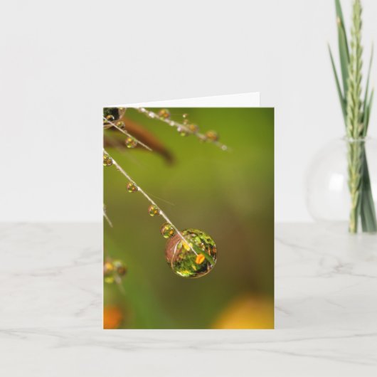 Wassertropfen Nah (Vorderseite)