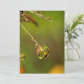 Wassertropfen Nah Karte (Stehend Vorderseite)