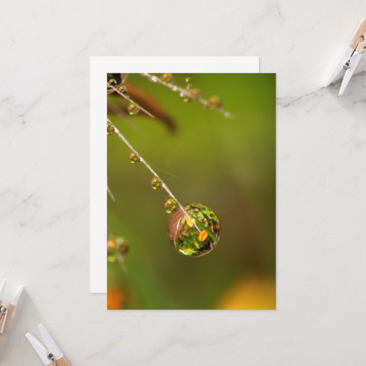 Wassertropfen Nah Karte (Vorderseite/Rückseite Beispiel)