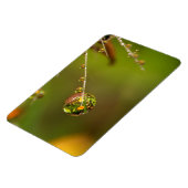 Wassertropfen Nah Magnet (Linke Seite)