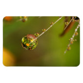 Wassertropfen Nah Magnet (Horizontal)