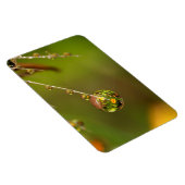 Wassertropfen Nah Magnet (Rechte Seite)