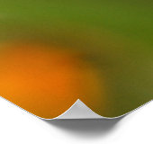 Wassertropfen Nah Poster (Ecke)