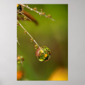 Wassertropfen Nah Poster (Vorne)