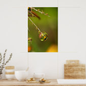 Wassertropfen Nah Poster (Küche)