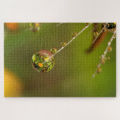 Wassertropfen Nah Puzzle (Horizontal)