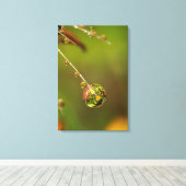 Wassertropfen Nahaufnahme Leinwanddruck (Insitu (Holzboden))
