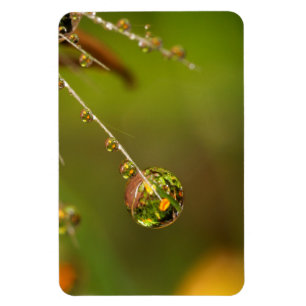 Wassertropfen Nahaufnahme Magnet