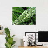 Wassertropfen. Poster (Heimbüro)