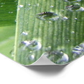Wassertropfen. Poster (Ecke)