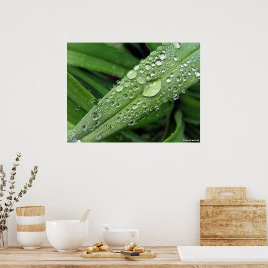 Wassertropfen. Poster (Küche)