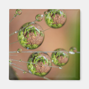 Wassertropfen-Reflexion Magnet