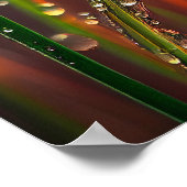 Wassertropfen Ruhe Stille Natur Friedlicher Zen Poster (Ecke)