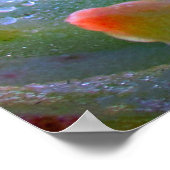 Wassertropfen Sukkulent Poster (Ecke)