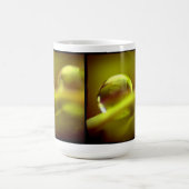 Wassertropfen Tasse (Mittel)