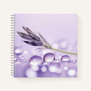 Wassertropfen tauchen Natur Serene Ruhe Notizblock