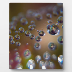 Wassertropfen-Wasser in Bewegung Fotoplatte
