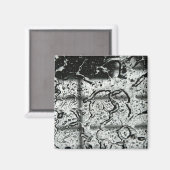Wassertropfenmagnet Magnet (Vorderseite/Rückseite)