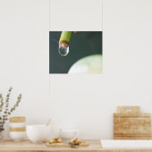 Wassertropfenplakette Poster (Küche)
