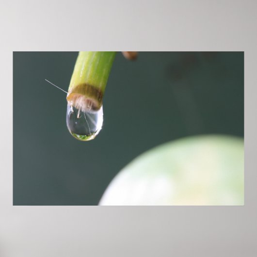 Wassertropfenplakette Poster (Vorne)