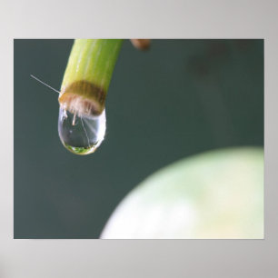Wassertropfenplakette Poster