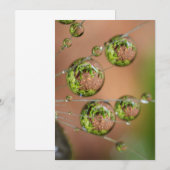 Wassertropfenreflektion Dankeskarte (Vorne/Hinten)