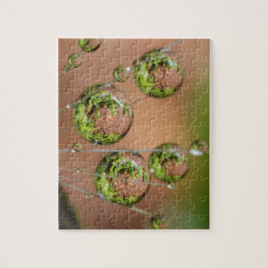 Wassertropfenreflektion Puzzle (Vertikal)