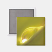 Wassertropfmagnet 3 magnet (Vorderseite/Rückseite)