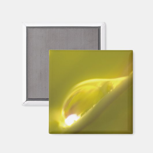 Wassertropfmagnet 3 magnet (Vorderseite/Rückseite)