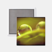 Wassertropfmagnet Magnet (Vorderseite/Rückseite)