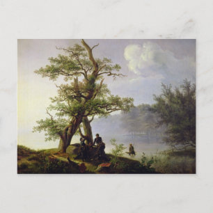 Wasservögel, 1828 postkarte