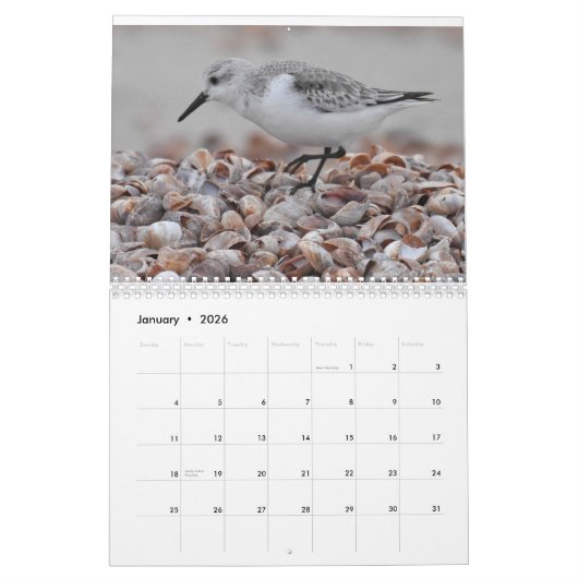 Wasservögel 2 kalender (Jan 2026)