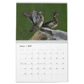 Wasservögel 2 kalender (Mär 2027)