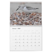 Wasservögel 2 kalender (Jan 2027)