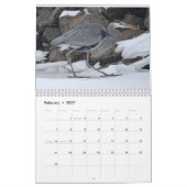 Wasservögel 2 kalender (Feb 2027)