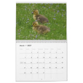 Wasservögel 4 kalender (Mär 2027)