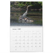 Wasservögel 4 kalender (Jan 2027)