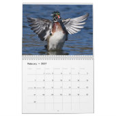 Wasservögel 4 kalender (Feb 2027)