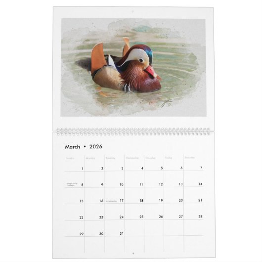 Wasservögel Art Kalender (Mär 2026)