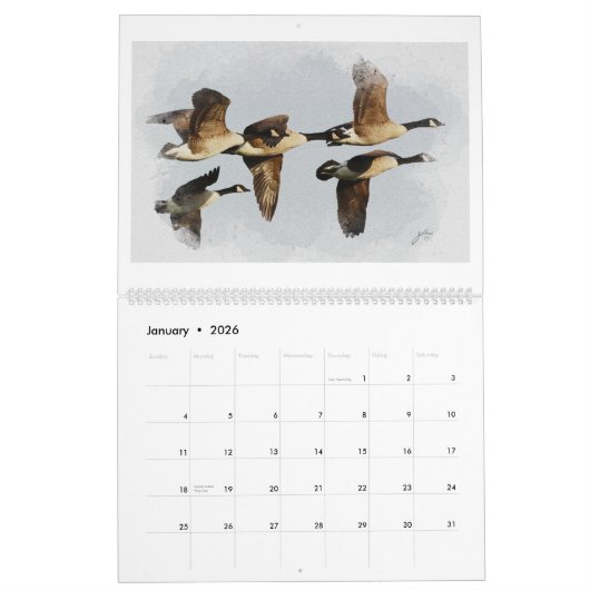 Wasservögel Art Kalender (Jan 2026)