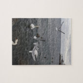 Wasservögel auf dem Ontariosee Puzzle (Horizontal)