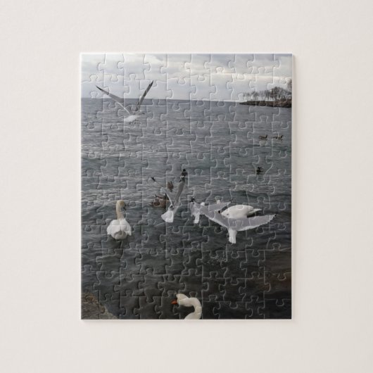 Wasservögel auf dem Ontariosee Puzzle (Vertikal)