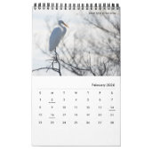 Wasservögel aus Südkalifornien von Kelly Nine Kalender (Feb 2026)