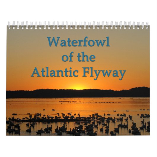 Wasservögel des atlantischen Flyway Kalender (Titelbild)