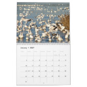 Wasservögel des atlantischen Flyway Kalender (Jan 2027)