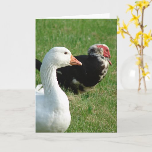 Wasservögel Haustiere Karte (Gelbe Blume)